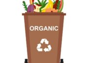 Cara Mengolah Sampah Organik jadi Pupuk Kompos, Berikut Langkah-langkahnya