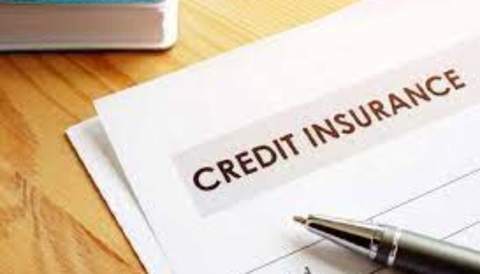 Pengertian, Jenis dan Manfaat Asuransi Kredit